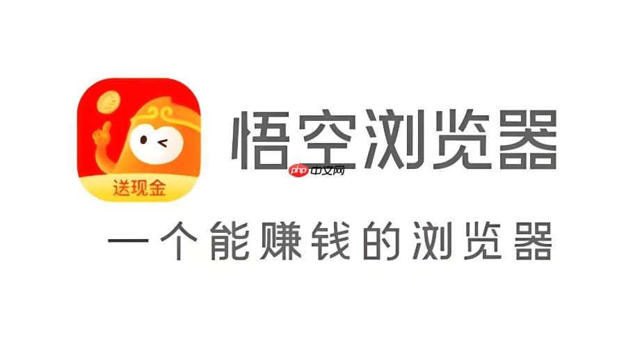 悟空浏览器证书错误提示怎么解决_悟空浏览器安全风险跳过