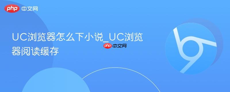 UC浏览器怎么下小说_UC浏览器阅读缓存
