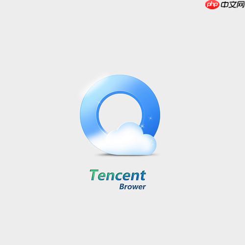 TT浏览器官网入口网页版