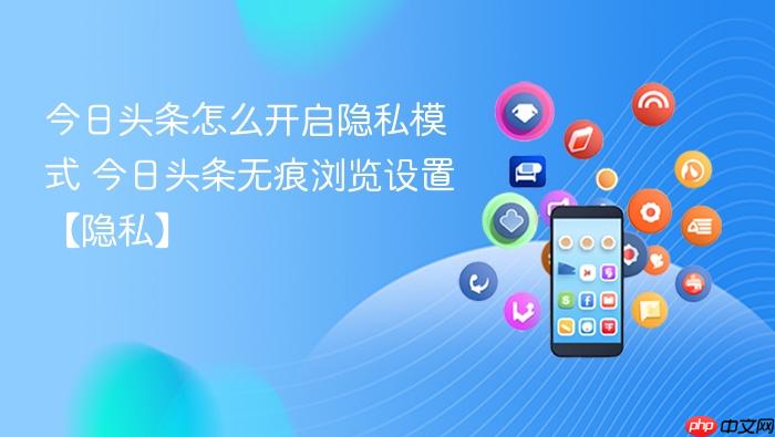 今日头条怎么开启隐私模式