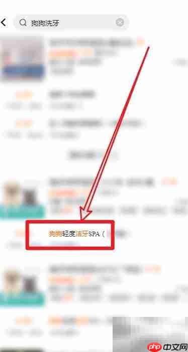 狗狗口臭怎么办？5招轻松解决