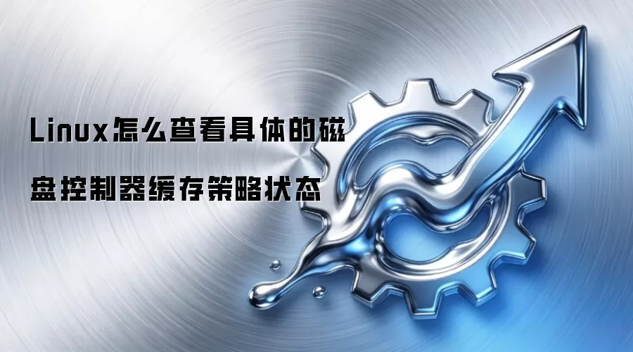 Linux怎么查看具体的磁盘控制器缓存策略状态