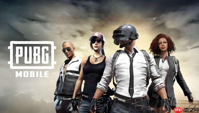 pubg官网入口2026最新