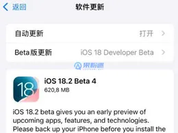 iPhone12自动卸载不常用应用怎么关闭?详细步骤教程