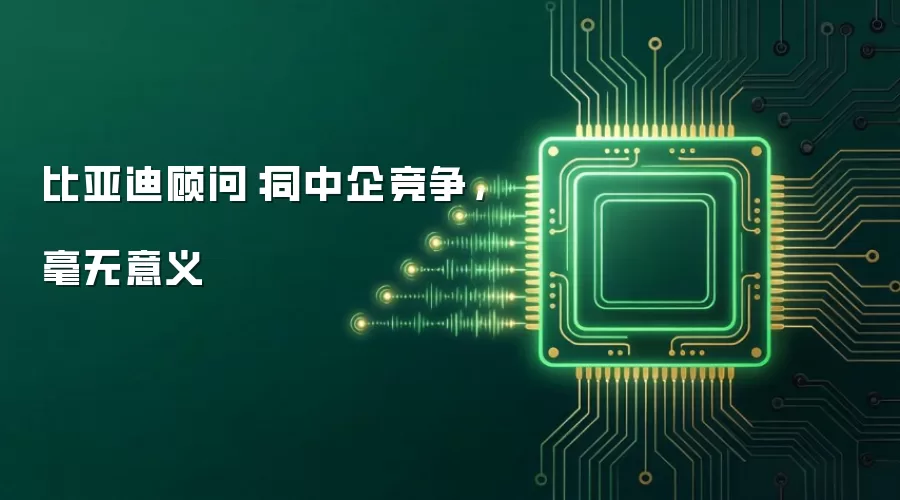比亚迪顾问：同中企竞争，毫无意义