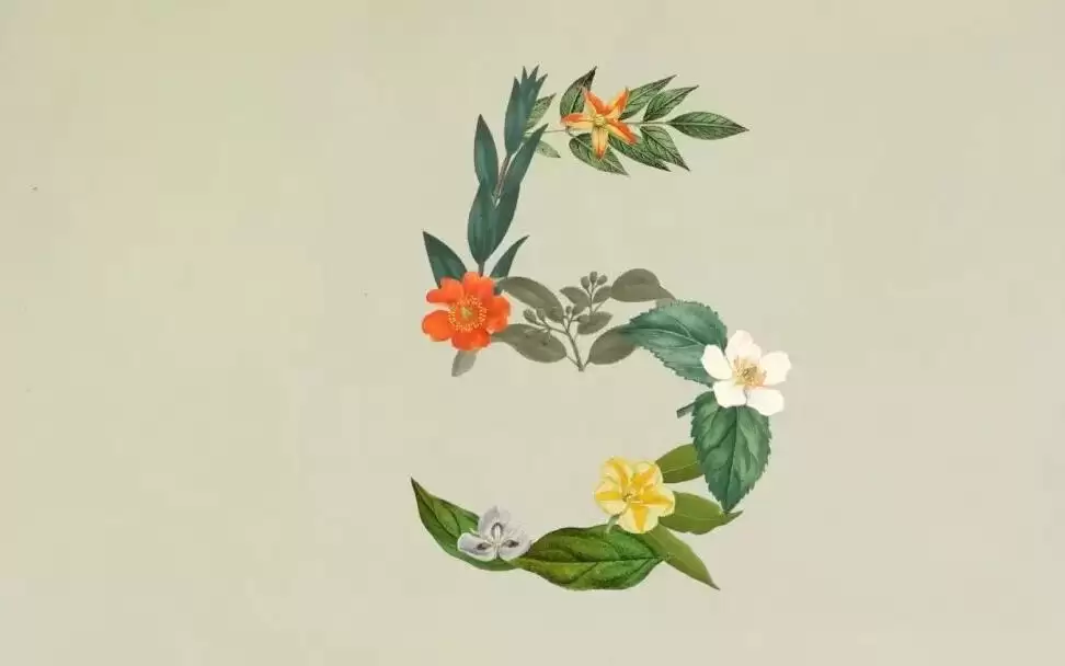 大规模封号后,Claude 突然发布更便宜的新模型