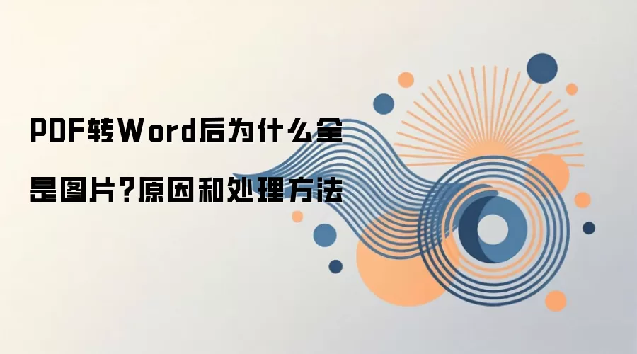 PDF转Word后为什么全是图片?原因和处理方法