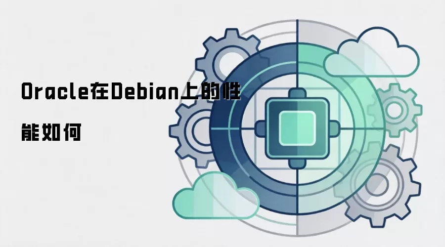 Oracle在Debian上的性能如何