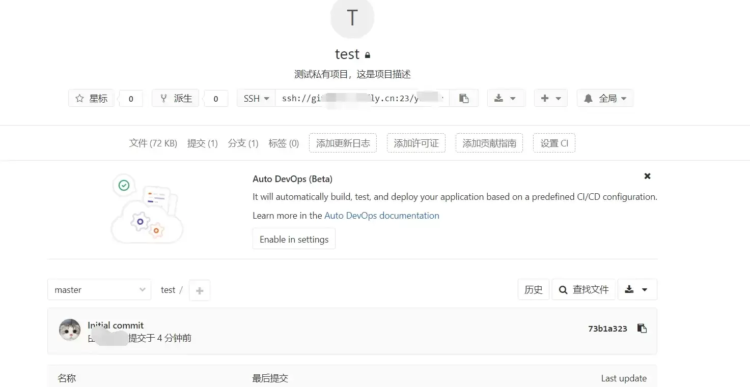 GitLab仓库页面显示Initial commit提交和index.html文件