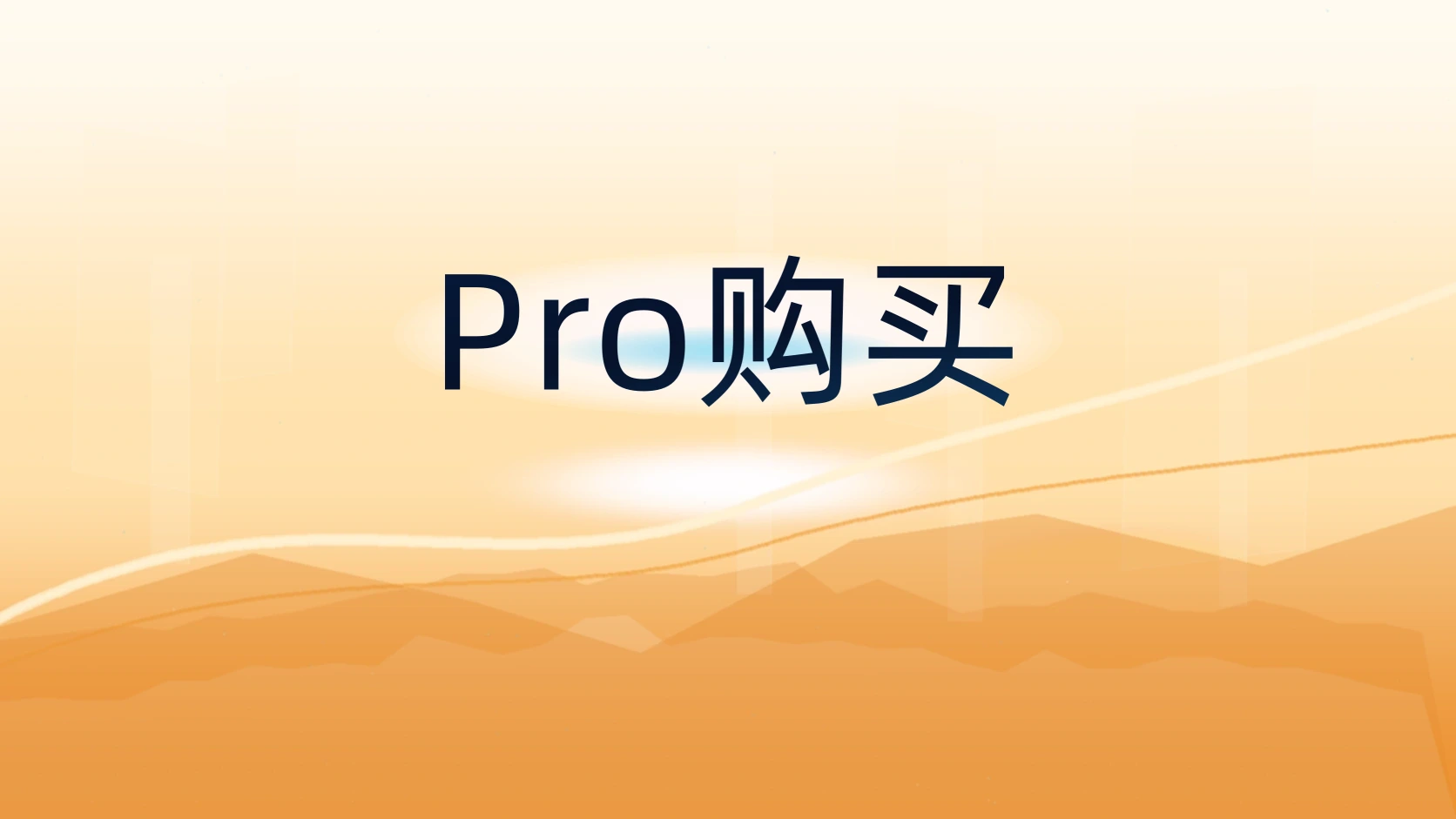 Pro购买