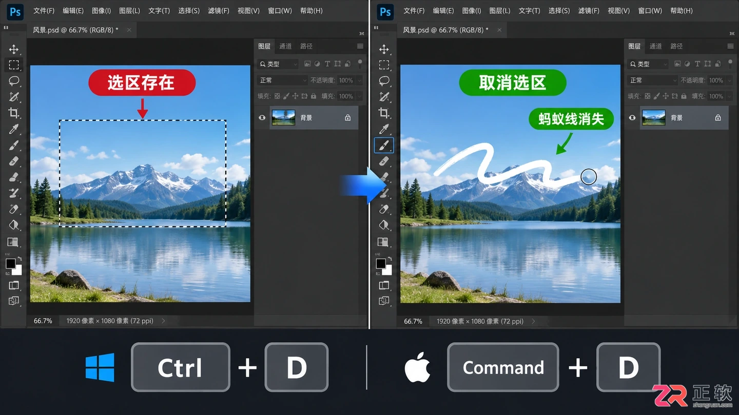 Photoshop选区怎么取消？快捷键与部分取消方法