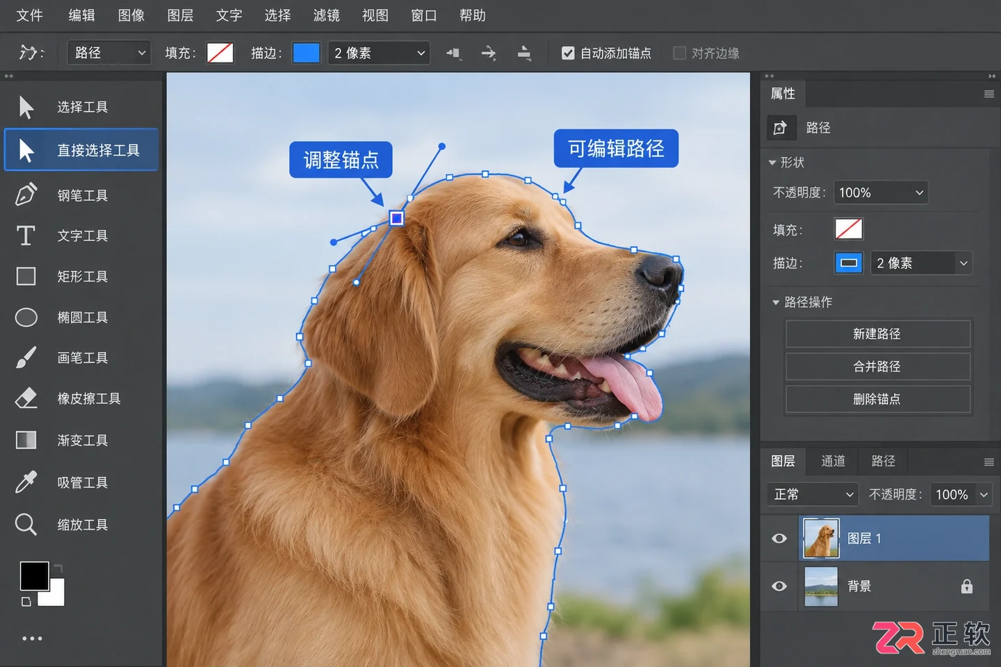 Photoshop选区转换为路径的方法及快捷操作