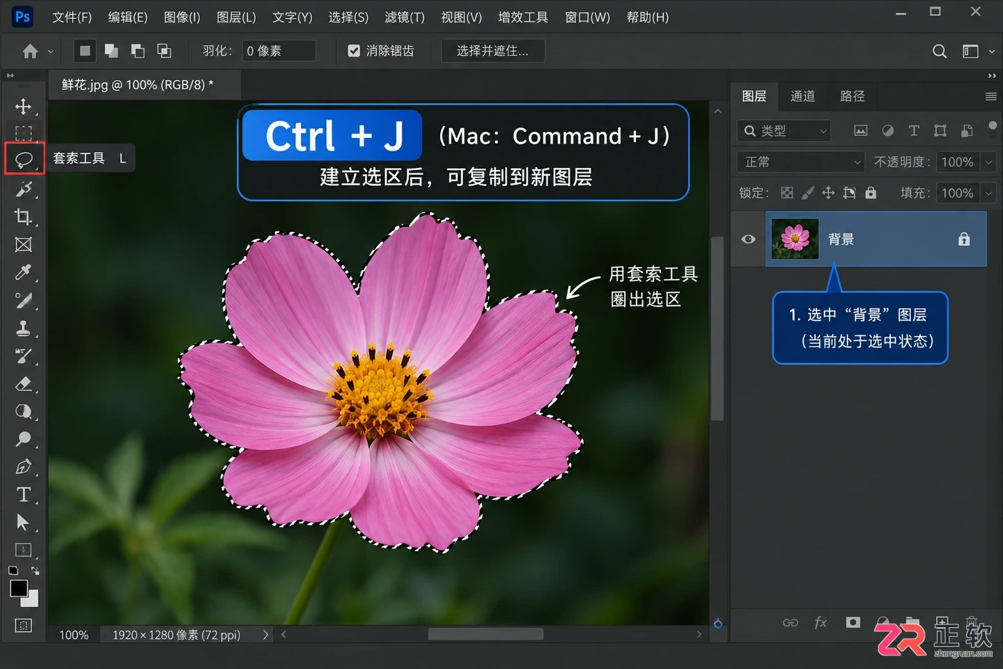 Photoshop选区怎么复制粘贴？快捷键与移动方法