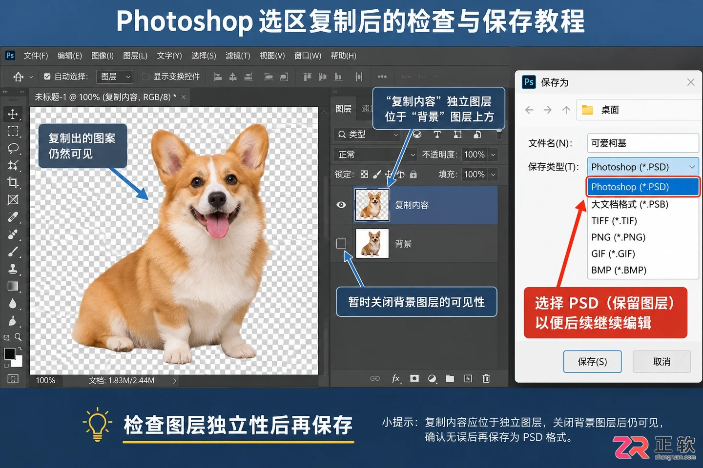 Photoshop选区怎么复制粘贴？快捷键与移动方法