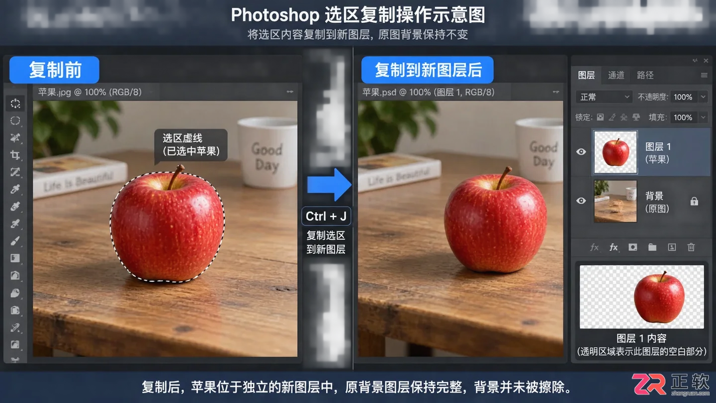 Photoshop选区怎么复制粘贴？快捷键与移动方法