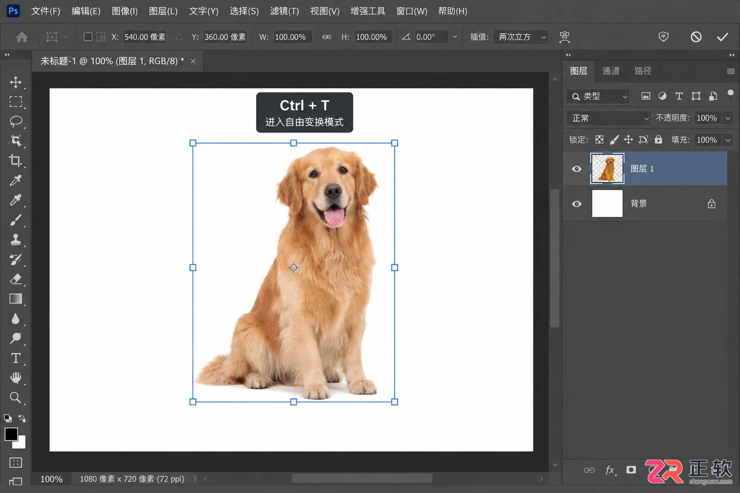 Photoshop抠图放到另一张图怎么操作并自由调整大小位置