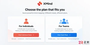 XMind Pro订阅价格详解:个人版与企业版授权区别