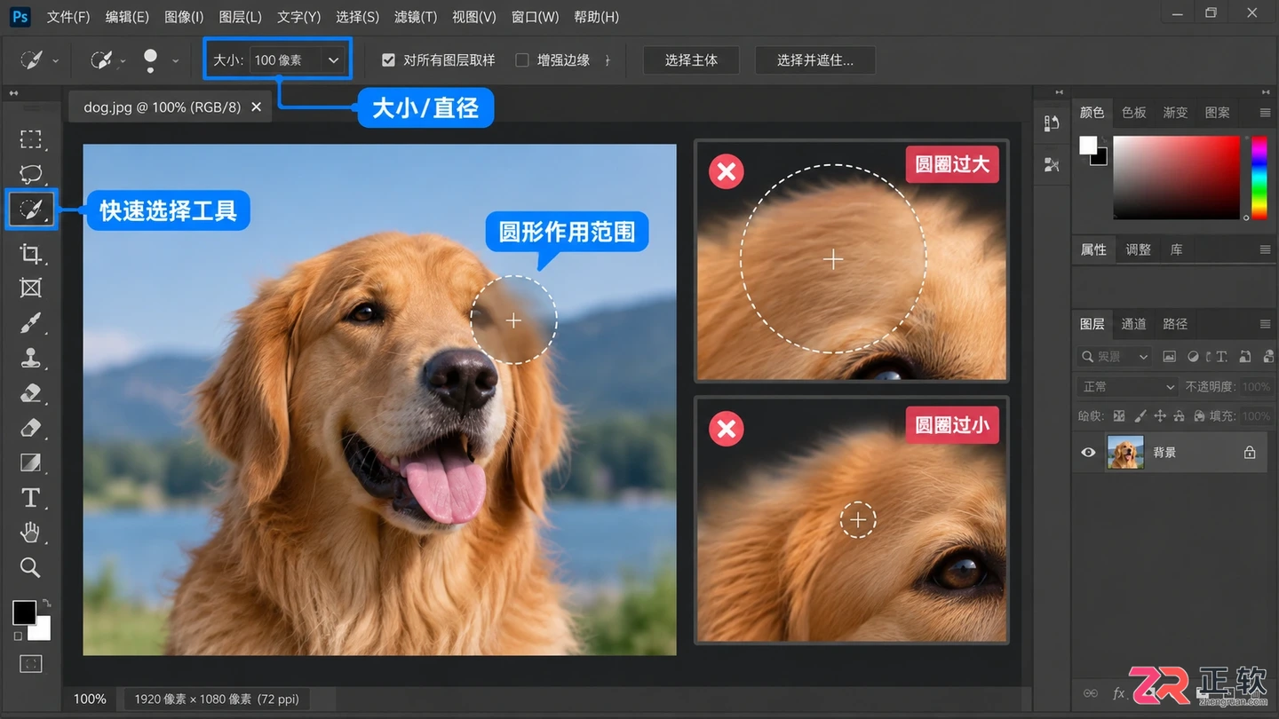 Photoshop选区画笔工具怎么调节圆形大小?快捷键与设置方法