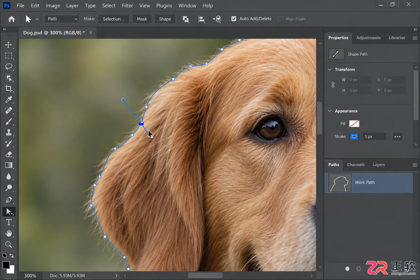 photoshop钢笔工具抠图步骤和技巧