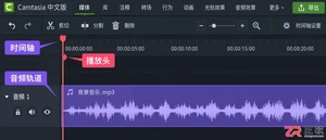 camtasia字幕同步教程与时间轴对齐方法