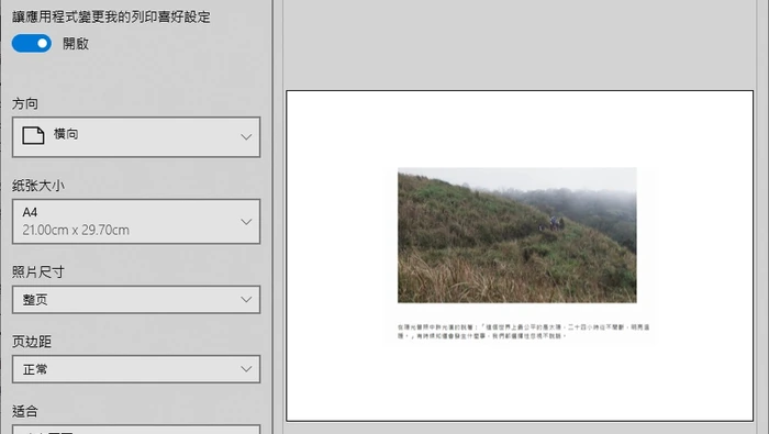 Windows 图片打印为 PDF 中文界面