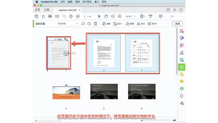 Adobe Acrobat组织页面重排真实界面图