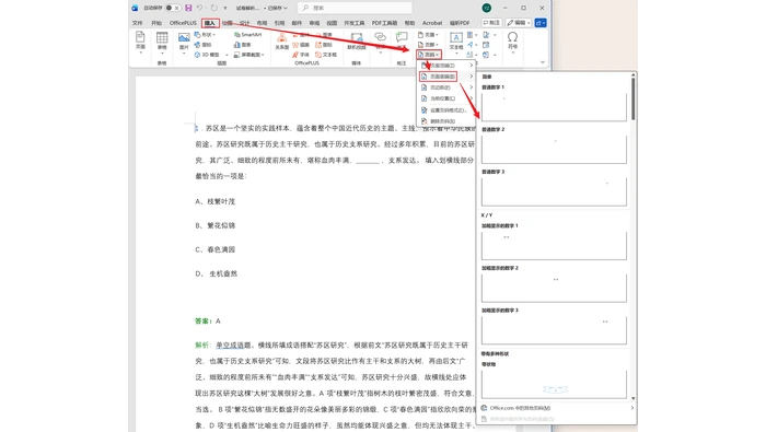 Word分节设置正文起始页码真实界面图