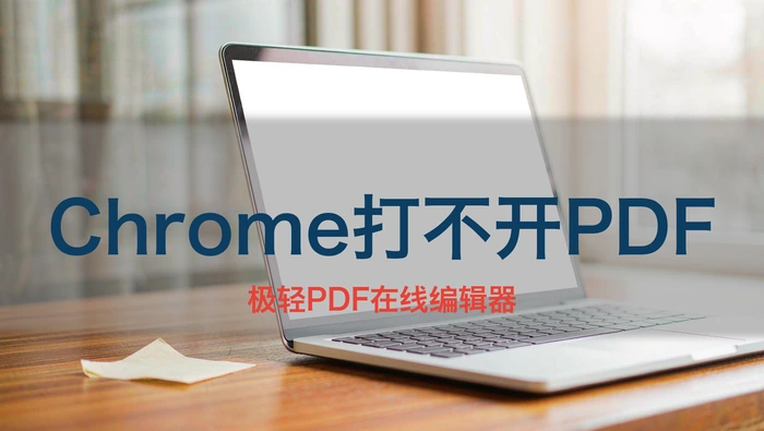 Chrome浏览器打不开PDF?3步调整PDF网页预览设置