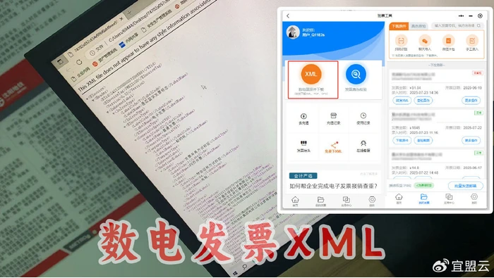 电子发票平台中的XML文件入口和发票记录列表