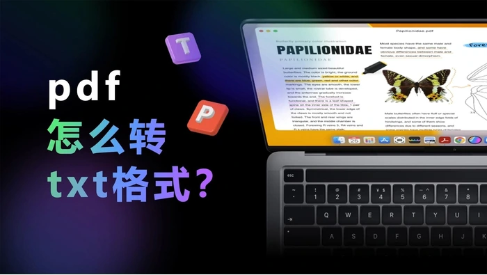 PDF转换为TXT格式的本地处理场景示意图