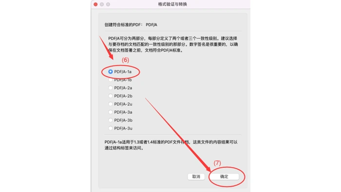 格式验证与转换对话框选择PDF/A-1a标准