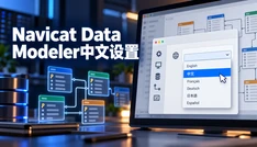 Navicat Data Modeler中文设置